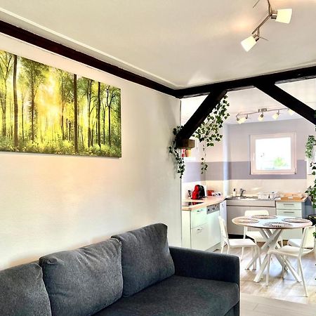 Seppala Charmant Appartement Кольмар Экстерьер фото