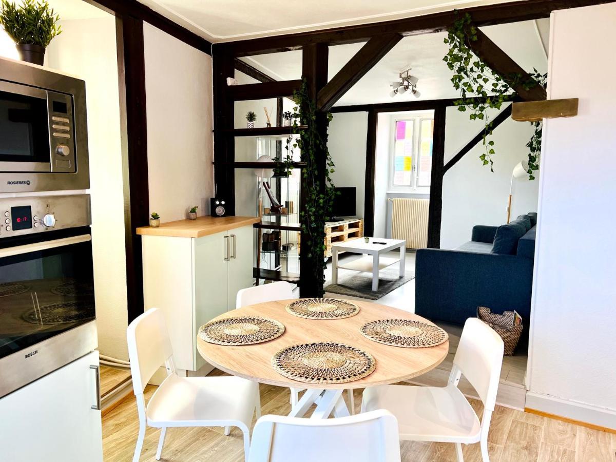 Seppala Charmant Appartement Кольмар Экстерьер фото