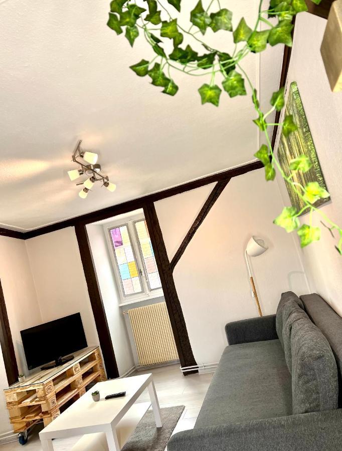 Seppala Charmant Appartement Кольмар Экстерьер фото