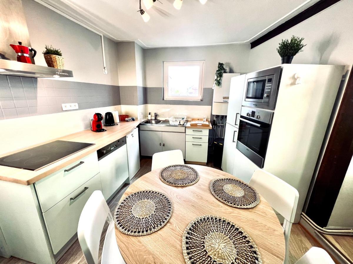 Seppala Charmant Appartement Кольмар Экстерьер фото