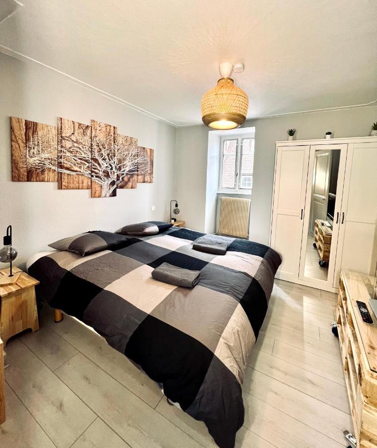 Seppala Charmant Appartement Кольмар Экстерьер фото