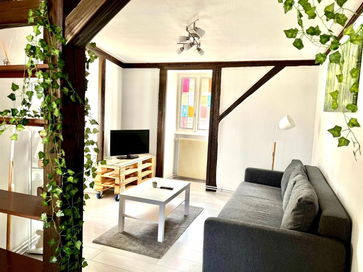 Seppala Charmant Appartement Кольмар Экстерьер фото